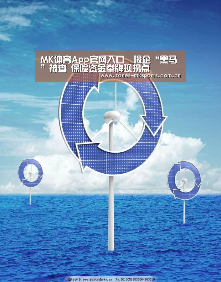 MK体育App官网入口 _险企“黑马”被查 保险资金举牌现拐点(图3) MK体育