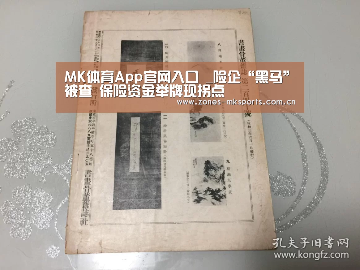MK体育App官网入口 _险企“黑马”被查 保险资金举牌现拐点(图2) MK体育