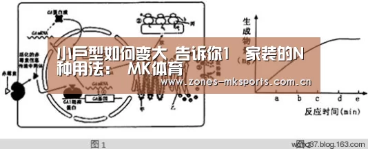 MK体育App官网入口 