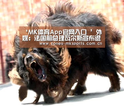 ‘MK体育App官网入口 ’外媒:法国前总理瓦尔斯宣布退出社会党(图1) MK体育