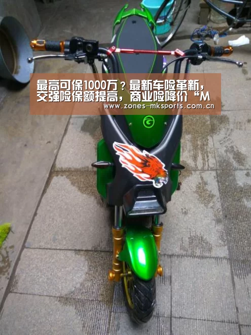 MK体育App官网入口 