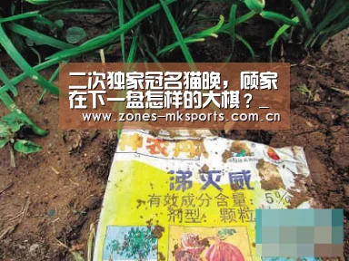  MK体育
