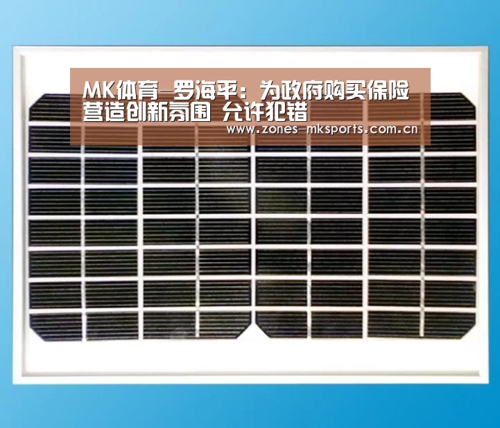 MK体育App官网入口 